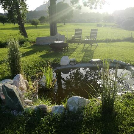 Bed and Breakfast Haus Elisabeth Aigen im Ennstal Exterior foto